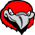 Fearn Falcons