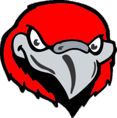 Fearn Falcons